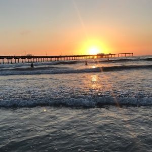 Meet your Posher, Ava